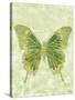 Large Butterfly-Bee Sturgis-Stretched Canvas