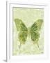 Large Butterfly-Bee Sturgis-Framed Art Print