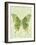 Large Butterfly-Bee Sturgis-Framed Art Print