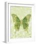 Large Butterfly-Bee Sturgis-Framed Art Print