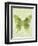 Large Butterfly-Bee Sturgis-Framed Art Print