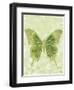 Large Butterfly-Bee Sturgis-Framed Art Print