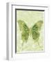 Large Butterfly-Bee Sturgis-Framed Art Print