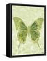 Large Butterfly-Bee Sturgis-Framed Stretched Canvas