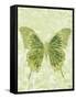 Large Butterfly-Bee Sturgis-Framed Stretched Canvas