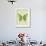 Large Butterfly-Bee Sturgis-Framed Art Print displayed on a wall