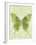 Large Butterfly-Bee Sturgis-Framed Art Print
