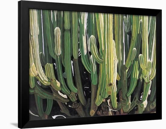 Large Candelabro Cactus in Oaxaca, 2003-Pedro Diego Alvarado-Framed Premium Giclee Print