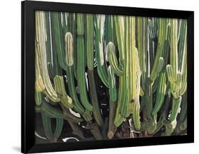 Large Candelabro Cactus in Oaxaca, 2003-Pedro Diego Alvarado-Framed Premium Giclee Print