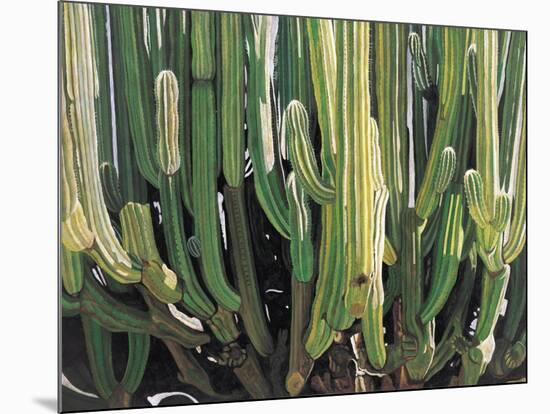 Large Candelabro Cactus in Oaxaca, 2003-Pedro Diego Alvarado-Mounted Giclee Print