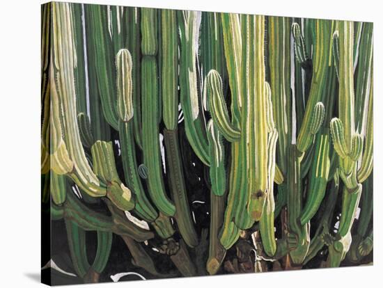 Large Candelabro Cactus in Oaxaca, 2003-Pedro Diego Alvarado-Stretched Canvas