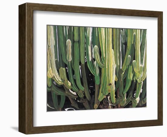 Large Candelabro Cactus in Oaxaca, 2003-Pedro Diego Alvarado-Framed Giclee Print