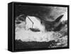 Large Captured Shark Hooked by the Mouth-null-Framed Stretched Canvas