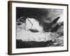 Large Captured Shark Hooked by the Mouth-null-Framed Photographic Print