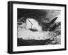 Large Captured Shark Hooked by the Mouth-null-Framed Photographic Print