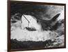 Large Captured Shark Hooked by the Mouth-null-Framed Photographic Print