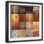 Large Collection of Wood Textures-taviphoto-Framed Photographic Print