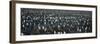 Large Colony of Penguins-Nosnibor137-Framed Photographic Print