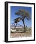 Large Communal Nest of Sociable Weavers in Dry Country Near Sesriem, Namibia-Nigel Pavitt-Framed Photographic Print