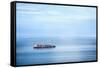 Large Container Ship in the Open Sea-Petr Jilek-Framed Stretched Canvas