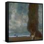 Large Cottonwood II (Gathering Storm), 1902-Gustav Klimt-Framed Stretched Canvas