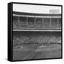 Large Crowd of People Watching the Action of Dodger-Cubs Game Fat Wrigley Field-John Dominis-Framed Stretched Canvas