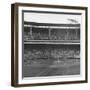 Large Crowd of People Watching the Action of Dodger-Cubs Game Fat Wrigley Field-John Dominis-Framed Photographic Print