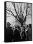 Large Crowd of Spectators Enjoying the Celebrations, During the Inauguration of Harry S. Truman-George Skadding-Framed Stretched Canvas