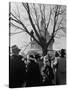 Large Crowd of Spectators Enjoying the Celebrations, During the Inauguration of Harry S. Truman-George Skadding-Stretched Canvas