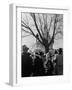 Large Crowd of Spectators Enjoying the Celebrations, During the Inauguration of Harry S. Truman-George Skadding-Framed Photographic Print