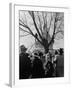 Large Crowd of Spectators Enjoying the Celebrations, During the Inauguration of Harry S. Truman-George Skadding-Framed Photographic Print