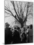 Large Crowd of Spectators Enjoying the Celebrations, During the Inauguration of Harry S. Truman-George Skadding-Mounted Photographic Print