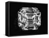 Large Diamond Owned by Jewel Harry Winston-Bernard Hoffman-Framed Stretched Canvas