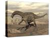 Large Dicraeosaurus Dinosaur Walking on Rocky Terrain-null-Stretched Canvas