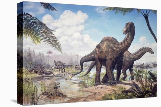 Large Dicraeosaurus Sauropods from the Late Cretaceous of Africa.-null-Stretched Canvas