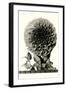 Large, Elaborate Flower Head-null-Framed Art Print