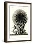 Large, Elaborate Flower Head-null-Framed Art Print