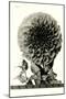 Large, Elaborate Flower Head-null-Mounted Art Print