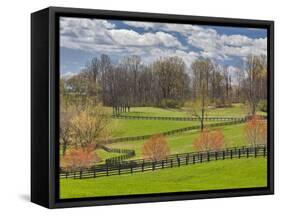Large Field and Fence Line in Louisville, Kentucky, Usa-Adam Jones-Framed Stretched Canvas