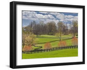 Large Field and Fence Line in Louisville, Kentucky, Usa-Adam Jones-Framed Photographic Print