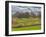 Large Field and Fence Line in Louisville, Kentucky, Usa-Adam Jones-Framed Photographic Print