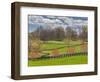 Large Field and Fence Line in Louisville, Kentucky, Usa-Adam Jones-Framed Photographic Print