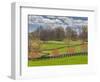 Large Field and Fence Line in Louisville, Kentucky, Usa-Adam Jones-Framed Photographic Print