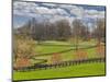 Large Field and Fence Line in Louisville, Kentucky, Usa-Adam Jones-Mounted Photographic Print