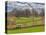 Large Field and Fence Line in Louisville, Kentucky, Usa-Adam Jones-Stretched Canvas