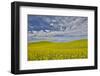 Large field of canola on the Washington State and Idaho border near Estes, Idaho-Darrell Gulin-Framed Photographic Print