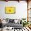 Large Field of Sunflowers Near Moses Lake, Washington State, USA-Stuart Westmorland-Framed Stretched Canvas displayed on a wall