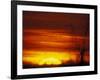 Large Flock of Blackbirds Silhouetted at Sunset, Missouri, USA-Arthur Morris-Framed Photographic Print