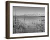 Large Flock of Canadian Geese Flying over Water-Andreas Feininger-Framed Photographic Print