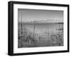 Large Flock of Canadian Geese Flying over Water-Andreas Feininger-Framed Photographic Print